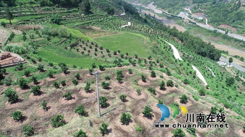 仙潭集团开展“两新联百村·党建助振兴”活动(图17)