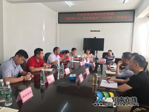 龙马潭区红星街道召开“两新联百村&nbsp;党建助振兴”工作总结暨2019年工作部署会(图1)