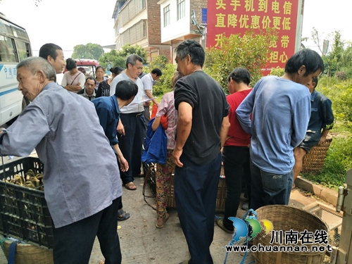 合江县法王寺镇开展农村贫困残疾人实用技术培训(图2)