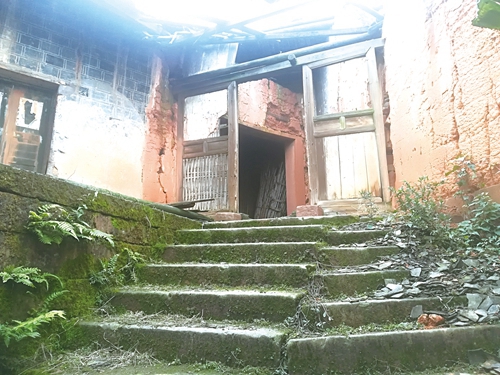 纳溪大山深处疑藏战壕遗址?(图4) 纳溪大山深处疑藏战壕遗址?(图4)