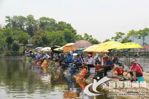 输赢手上取&nbsp;钓鱼高手齐聚宜宾“梦里水乡”争冠(图1)