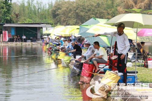 输赢手上取&nbsp;钓鱼高手齐聚宜宾“梦里水乡”争冠(图2)