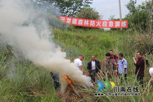 泸县云龙镇开展防汛暨森林防火应急演练(图2)