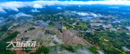 五一小长假气候适宜&nbsp;&nbsp;泸州本地旅游线路推荐(图1)