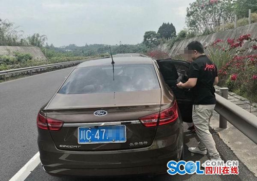 高速路边野花你别采&nbsp;自贡男子违法停车被记6分(图1)