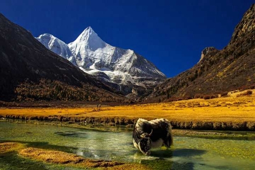 加长版“五一”&nbsp;四川接待游客4322.87万人次(图1)