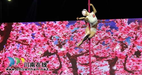 《妈妈咪呀》海选轰动泸州&nbsp;直播量近22万(图17)