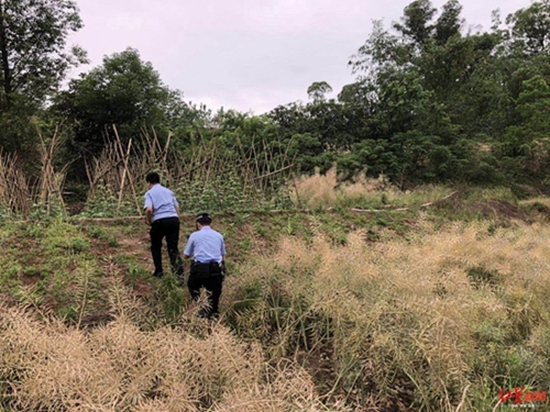 自贡男子发消息称已服毒自杀&nbsp;数十人搜山找到他(图1)