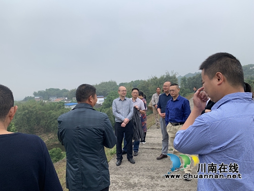 泸州市人大常委会对江阳区开展《泸州市城区山体保护条例》立法补充调研(图2)