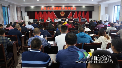 泸县立石镇召开脱贫攻坚专题培训会(图1)