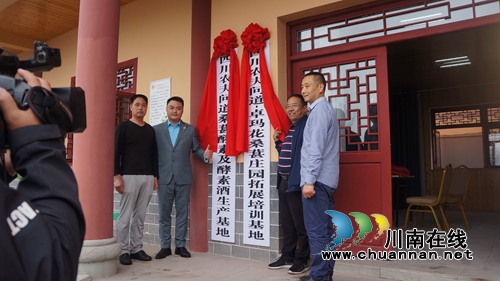 四川农夫问道桑葚酵素及酵素酒基地在泸县挂牌(图1)