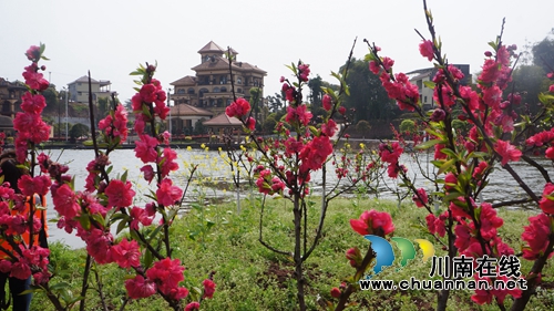 旅游季开启!来泸县玉龙湖感受江南山水画卷(图2) 旅游季开启!来泸县玉龙湖感受江南山水画卷(图2)