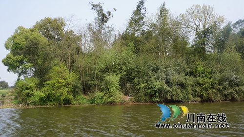 旅游季开启!来泸县玉龙湖感受江南山水画卷(图4) 旅游季开启!来泸县玉龙湖感受江南山水画卷(图4)