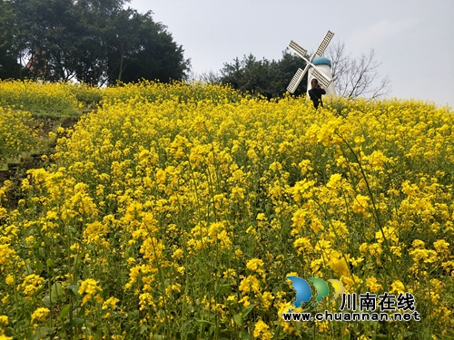 旅游季开启!来泸县玉龙湖感受江南山水画卷(图3) 旅游季开启!来泸县玉龙湖感受江南山水画卷(图3)