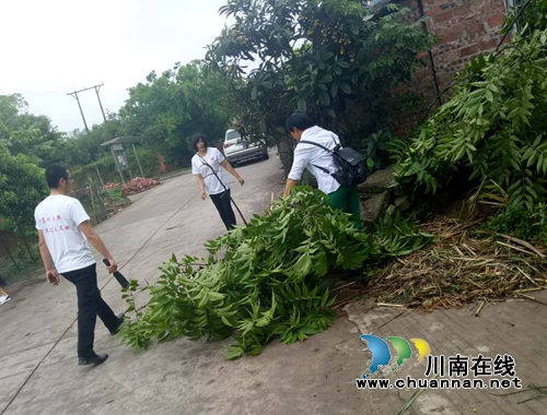 泸县太伏镇开展“亮身份作表率”活动(图2)