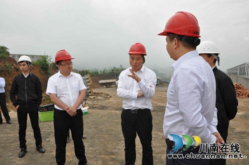 泸州市副市长薛学深到合江县虎头镇调研(图1)