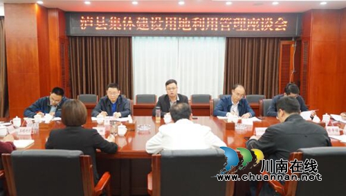 自然资源部调研泸县集体建设用地利用管理工作(图2)