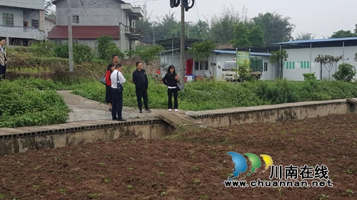 省绿色食品发展中心领导到宜宾长兴镇调研家庭农场发展情况(图1) 省绿色食品发展中心领导到宜宾长兴镇调研家庭农场发展情况(图1)