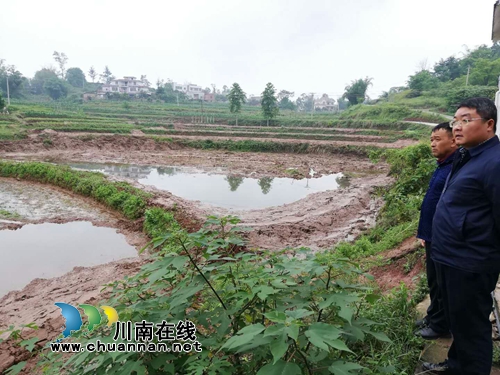 泸县太伏镇党委书记率队督查扶贫产业示范园建设工作(图1)