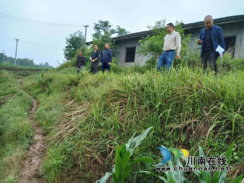 泸县太伏镇党委书记率队督查扶贫产业示范园建设工作(图2)