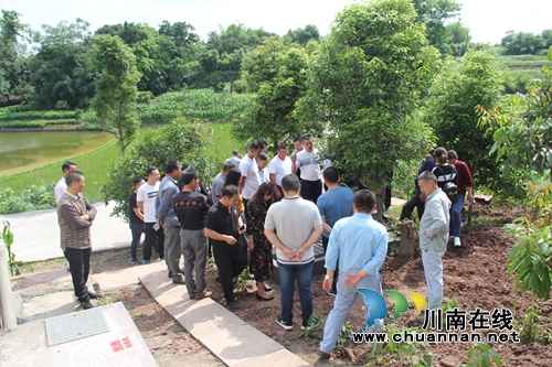 加速推进农村人居环境治理&nbsp;泸县云龙镇组织开展现场观摩学习(图2)