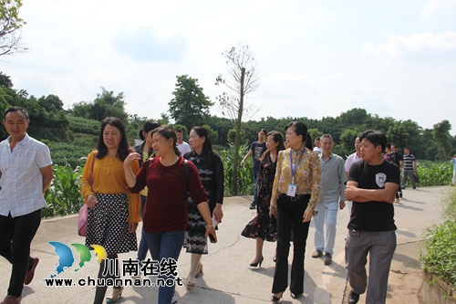 加速推进农村人居环境治理&nbsp;泸县云龙镇组织开展现场观摩学习(图3)