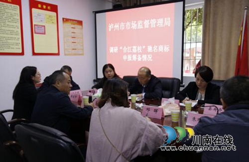 王天俊到合江县调研药品不良反应监测和知识产权保护工作(图2) 王天俊到合江县调研药品不良反应监测和知识产权保护工作(图2)