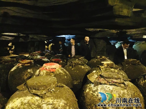 泸州青企协会员互访—走进中国沈酒活动举行(图2) 泸州青企协会员互访—走进中国沈酒活动举行(图2)