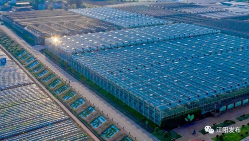 四个全市第一!江阳区一季度经济成绩单出炉(图9) 四个全市第一!江阳区一季度经济成绩单出炉(图9)