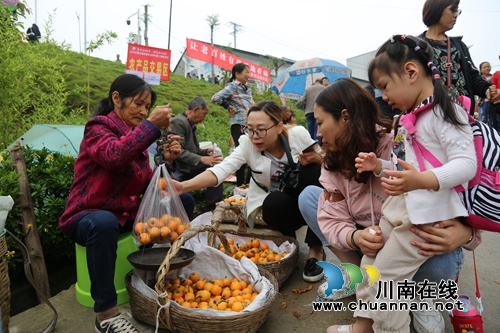 泸县企业、个人众筹办活动&nbsp;白龙塔枇杷打开销路(图12)