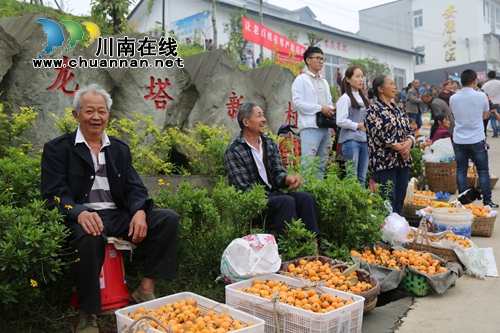 泸县企业、个人众筹办活动&nbsp;白龙塔枇杷打开销路(图19)
