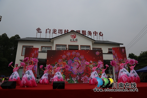 泸县企业、个人众筹办活动&nbsp;白龙塔枇杷打开销路(图8)