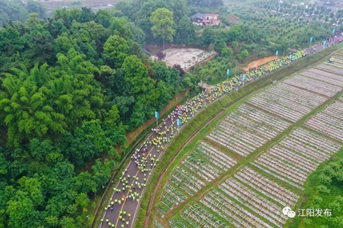 “蔬马3.0”！5国2000跑友董允坝共享蔬式生活(图5)