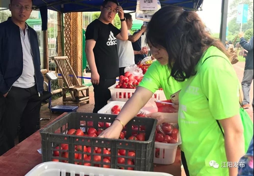 “蔬马3.0”！5国2000跑友董允坝共享蔬式生活(图21)