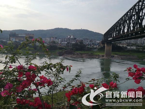 宜宾:游泳爱好者水中遇险 市民驾渔船相救(图4) 宜宾:游泳爱好者水中遇险 市民驾渔船相救(图4)