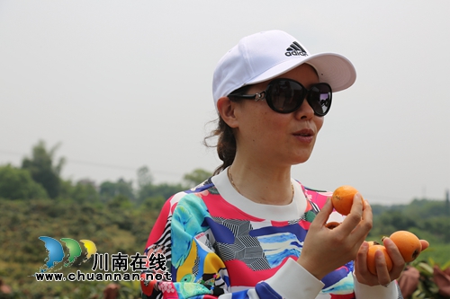 5月采枇杷6月吃葡萄&nbsp;泸县果田花乡开园迎客啦(图2)