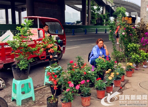 爱漂亮重健康重品质&nbsp;母亲节宜宾“她经济”升温(图3)