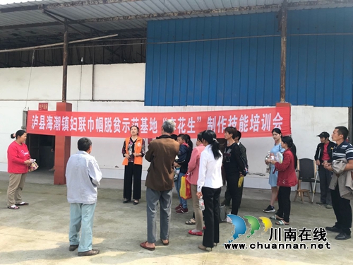 泸县海潮镇妇联巾帼脱贫示范基地开展制作技能培训会(图1)