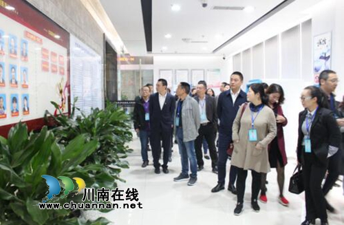 龙马潭区政协专题视察自然资源和规划工作(图2)