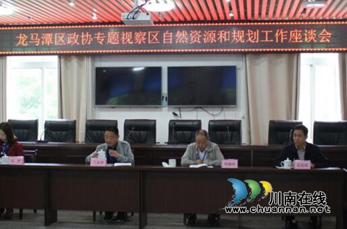 龙马潭区政协专题视察自然资源和规划工作(图1)