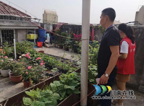 江阳区张坝街道积极开展禁种铲毒踏查工作(图1) 江阳区张坝街道积极开展禁种铲毒踏查工作(图1)