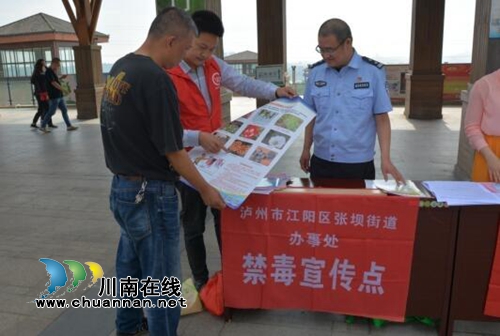 江阳区张坝街道积极开展禁种铲毒踏查工作(图2) 江阳区张坝街道积极开展禁种铲毒踏查工作(图2)