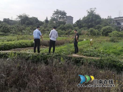 江阳区张坝街道积极开展禁种铲毒踏查工作(图3) 江阳区张坝街道积极开展禁种铲毒踏查工作(图3)