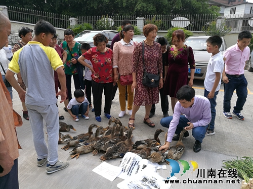 龙马潭区特殊教育学校举行第29个全国助残日活动(图2)