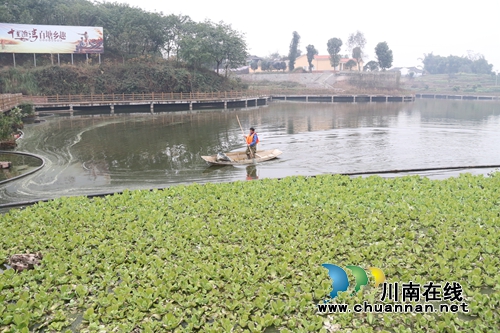 龙马潭乡村文化旅游节6月1日启动&nbsp;为期一周(图6)