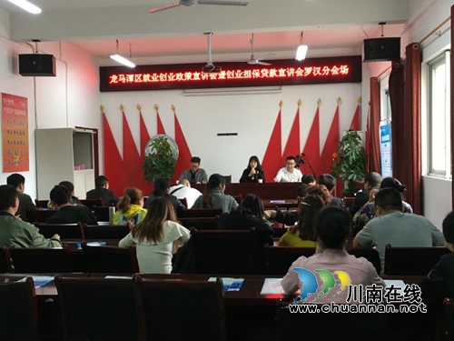 龙马潭区罗汉街道开展就业创业政策宣讲(图2)