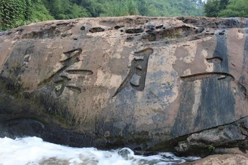 纳溪梅岭茶叶公园入选“中国美丽茶园”(图5)