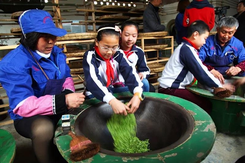 纳溪梅岭茶叶公园入选“中国美丽茶园”(图7)