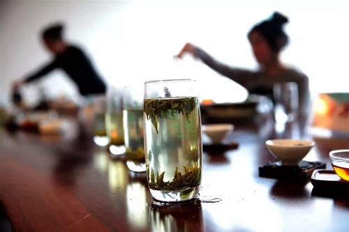 纳溪梅岭茶叶公园入选“中国美丽茶园”(图10)