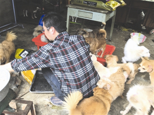 成都男贷60万养流浪狗200多条&nbsp;同行：量力而为(图1)